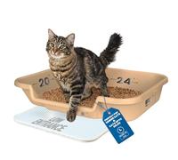 Kitty Go Here Senior Cat Litter Box 24