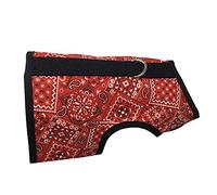 Kitty Holster Cat Harness, X-Small, Red Bandana