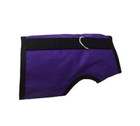 Kitty Holster - M/L Purple