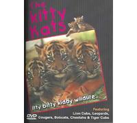 Kitty Kats [DVD] [Region 1] [US Import] [NTSC]