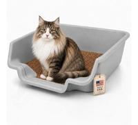 KittyGoHere Senior Cat Litter Box, Jumbo Litter pan, Open Top Low Entrance Kitty Litter Box, Lightweight Low Entry Litters Box, Durable, Made in USA (Misty Gray)