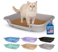 KittyGoHere Senior Cat Litter Box, Large Size, Misty Gray Color, Durable & Pet Safe Kitty Litter Box, Low 3" Entry and Lots More Room for Your Cats Comfort, Made in USA