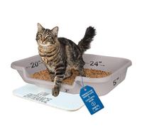 KittyGoHere Senior Cat Litter Box, Large Size, Misty Gray Color, Durable & Pet Safe Kitty Litter Box, Low 3" Entry and Lots More Room for Your Cats Comfort, Made in USA