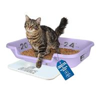 KittyGoHere Senior Cat Litter Tray Low Entry Comfortable Size Ideal for Elderly and Arthritic Cats, Made in USA, Lavender, Large, Pack of 1