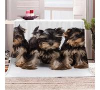 KITUNE 3D Yorkshire Terrier Blanket Throw Pet Dog Fleece Flannel Blankets for Bed Couch Sofa Soft Warm Fluffy Sherpa Blanket Girls Boys Travel Picnic Camping Nap Throw Blanket 50x60 inch