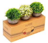 Kitzini Artificial Plants. Realistic Foliage. 3 Fake Plants Indoor. Gift Boxed. Premium Potted Fake Plants for Home Decor. Easy Styling. Everlasting House Plants