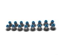 Kivivaka 16PCS Valve Spring Seal Cap for Chevy Engine, OEM 12482063 Oil Seals, Black and Blue Plastic Replacement Parts