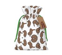Kiwi Birds Cute Print Christmas Bag Holiday Present Sack Xmas For Seasonal Decor Gift Wrapping
