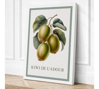 Kiwi de L'Adour Botanical Canvas Wall Art Print 36x24 Inch (91 x 61 cm)