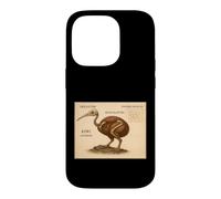 Kiwi Skeleton Vintage Bird Chart Case for iPhone 14 Pro