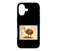 Kiwi Skeleton Vintage Bird Chart Case for iPhone 17