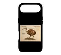 Kiwi Skeleton Vintage Bird Chart Case for iPhone Air