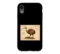Kiwi Skeleton Vintage Bird Chart Case for iPhone XR