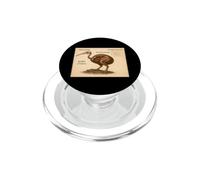 Kiwi Skeleton Vintage Bird Chart PopSockets PopGrip for MagSafe