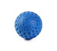 Kiwi Walker Dog Bouncy Ball Toy - Blue