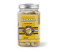 KIWI WALKER Dog Treats Fruits Healthy Snack for Pets (Square Tin, Banana)