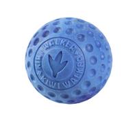 KIWI WALKER Let's Play! Ball Fetch Toy for Dogs - TPR Foam, Soft on Teeth & Gums - Floats in Water, Ideal for Small Dogs, Interactive Outdoor & Water Play Toy - 6.5cm, Blue