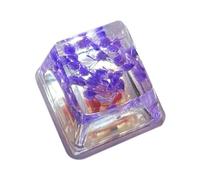 Kixolazr Keyboard Keycaps Resin Backspace, Gypsophila Keyboard Keycap, Shine Through Translucent, Game Keyboard, Sa Profile, Esc Keycap With Eternal Flower Design For Enhanced Game Experience