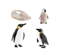 KIXZSAZ Animal Growth Cycle Teaching Aids Classroom Unique Textures Encourage Kids Imagination And Understanding Of Nature Baby Early Educational Development Preschool Toy