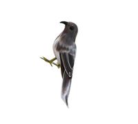 KIXZSAZ Beautiful Bird Figurine Realistic Taxidermy Addition To Garden Home Decor And Display Needs Prop For Home Decoration Figurine Artificial Bird Feathered Birds