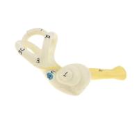 KIXZSAZ Ear Anatomy Model Human Ear Model Explaining Semicircular Canal Structure in tional Settings Semicircular Canal Anatomical