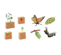 KIXZSAZ Engaging Life Cycle Figurines Toy Set Of Butterflies Unique Learning Experience For Children Storytelling Props Miniature Plant Lifecycle Collection For Boy Girl
