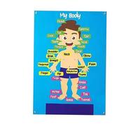 KIXZSAZ Felt Board Teaching Aids Toddler Body Spark Curiosity In Kids With Engaging Body Parts Learning Story Board Set Preschool Human Educational Teaching Storytelling