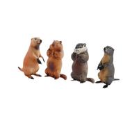 KIXZSAZ Groundhogs Model Figurines Promoting Imagination And Decor In Childrens Learning Spaces But Also As Prop For Childrens Storytelling Simulation Animal