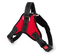 KIXZSAZ Leashes Harness Tow Dog Adjustable Rope Traction Long-Lasting Chest Strap Leash Set Puppy Corgi Teddy Pet Supply Training, Red, S