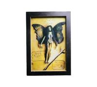 KIXZSAZ Long-lasting Solid Mummified Photo Frame For Spooky Is Not Easily Deformed Or Broken Mummified Fairy Display Box, B