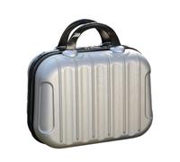 KIXZSAZ Makeup Storage Organizer Box Mini Outdoor Protector Luggage Cosmetic Case Large Capacity Bag Attached to Trolley, Silver