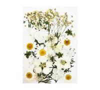 KIXZSAZ Set Decorating Real Flower Decal Filling Colorful Pressed Specimen Label Postcard Art Makeup Phone, Type 1