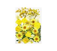 KIXZSAZ Set Decorating Real Flower Decal Filling Colorful Pressed Specimen Label Postcard Art Makeup Phone, Type 3