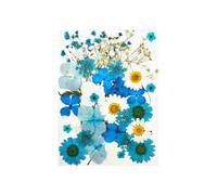 KIXZSAZ Set Decorating Real Flower Decal Filling Colorful Pressed Specimen Label Postcard Art Makeup Phone, Type 4
