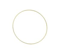 KIXZSAZ Wear-Resistant Metal Craft Macrame Embroidery Hoops Metal Rings for Wedding Decoration Projects Crafts Dream Catchers Rings Dreamcatchers DIY Crafts , Gold Plated , 25cm