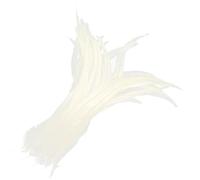 KIXZSAZ Wholesale Beautiful 10PCS Dyeing Rooster Tail Feathers Vibrant Colors, White