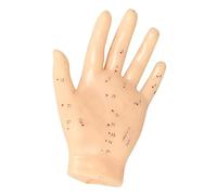KIYO Meridian Model Human Acupuncture Point Human Hand Model Education Appliances