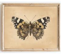 Kizbok Vintage Butterfly & Moth Wall Art Prints Decor Dark Moody Entomology Insect Canvas Prints Rustic Neutral Butterfly Drawing Oil Painting, Butterfly Art Pictures for Bedroom, Farmhouse Wall Decor