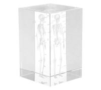 KJHBV Crystal Human Skeleton Anatomical Model Cube with Unique 3d Design and Educational Display, Versatile Crystal Paperweight for Students and Office Display, Scientific Teaching Tool