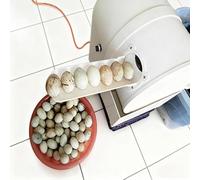 KJHYYPP 120W Egg Washer Machine Automatic Egg Cleaning Machine, 2300 Pcs/H Chicken Duck Goose Egg Cleaner Wash Machine, Egg Washer Machine Tool For Home Farm