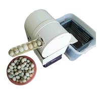 KJHYYPP Egg Washer, Automatic Egg Washing Machine, Electric Egg Washer, Goose Chicken Duck Egg Washing Machine, Egg Washing Tool Machine for Home Farm
