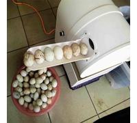 KJHYYPP Electric Egg Washing Machine, Egg Washer Machine, Automatic Egg Washer Machine, 2300 Pcs/H Chicken Duck Goose Egg Egg Cleaner Wash Machine
