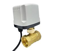 KJJFIPCXP 1/2" 3/4" 1" 2" Waterproof Motorized Ball Valve 220V 12V 24V Brass Electric Ball Valve Three Wire or Two Wire Ball Valves(24VDC-CR04)