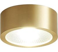 KjoiDWz Brushed Brass Mounted Surface Spotlights LED Downlight Led Retrofit Recessed Ceiling Lamp,3W,5W,7W,9W(A,3W)