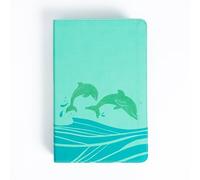 KJV Easy-for-Me Bible for Early Readers, Seafoam: King James Version, Seafoam Leathertouch, Easy-for-me Bible for Early Readers