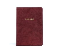 KJV Rainbow Study Bible, Burgundy LeatherTouch, Indexed: King James Version, Rainbow Study Bible, Burgundy, Leathertouch