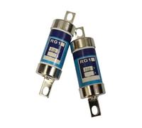 KKCZOFMJ 2 Pcs RG1 415V/25A 32A 10A 20A 25A Low Voltage Fast Blow Component Fuse(32A)