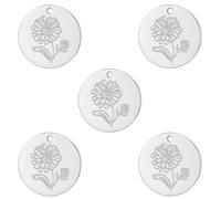 kkjoy 5Pcs Disc Coin Birth Flower DIY Charms for Jewelry Making and Crafting, Stainless Steel Pendant Craft Supplies Accessories for Make Bracelet Necklace Earrings (10 October Calendula)