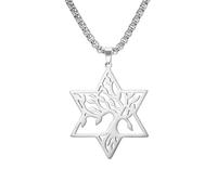 kkjoy Tree of Life with Hexagram Necklace Stainless Steel Star of David Pendant Box Chain Necklace Nature Inspired Spiritual Jewelry for Women Men