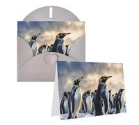 KKLWEGU Blank Greetings Card 4'' X 6'' With Envelopes, Sea Penguin Thank You Cards Note Cards Gray All Occasion Cards For Christmas Holidays Birthday Graduation Anniversaries